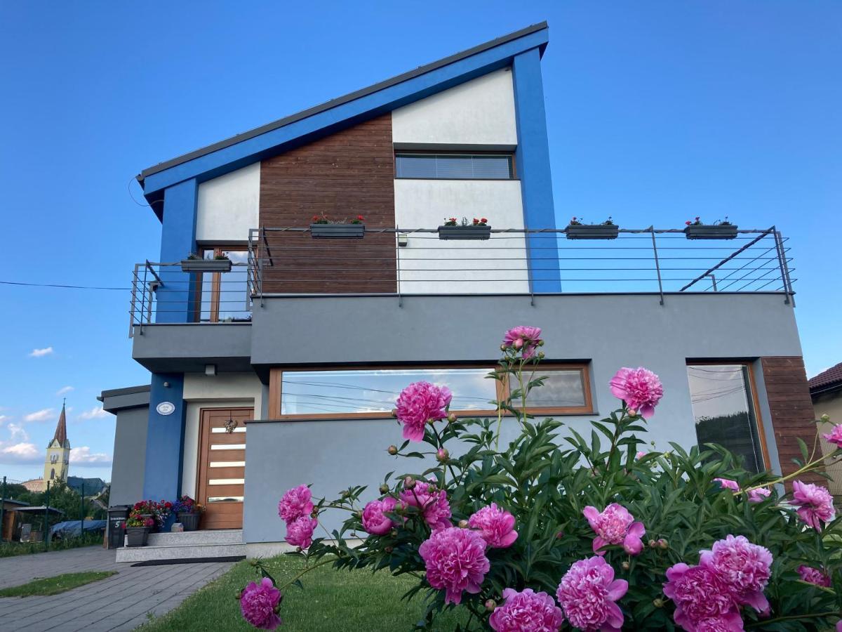 Modry Dom Apartament *
