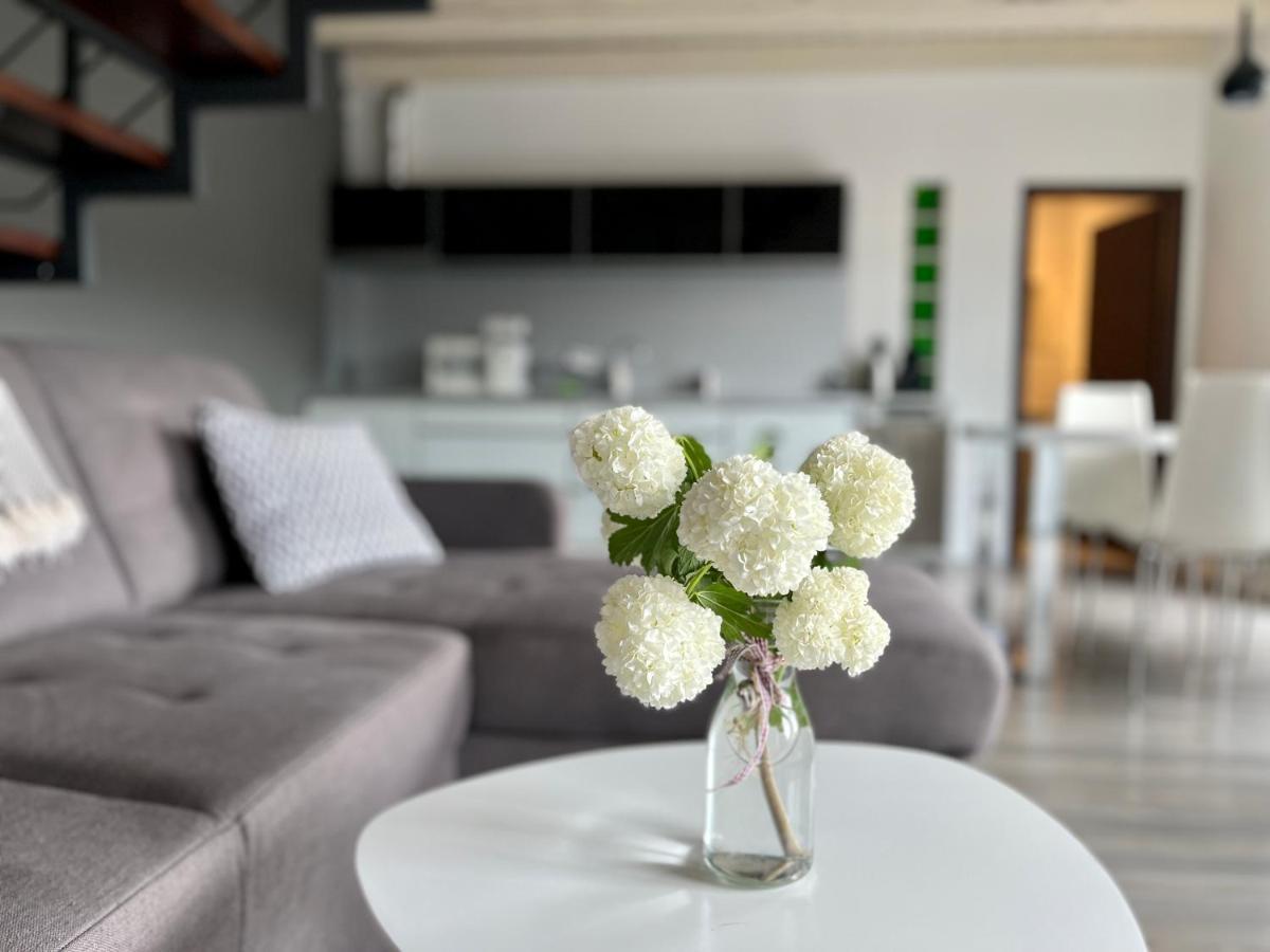 Modry Dom Apartament *